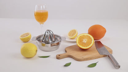 316L Stainless Steel Manual Juicer